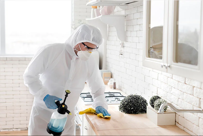 termite control services