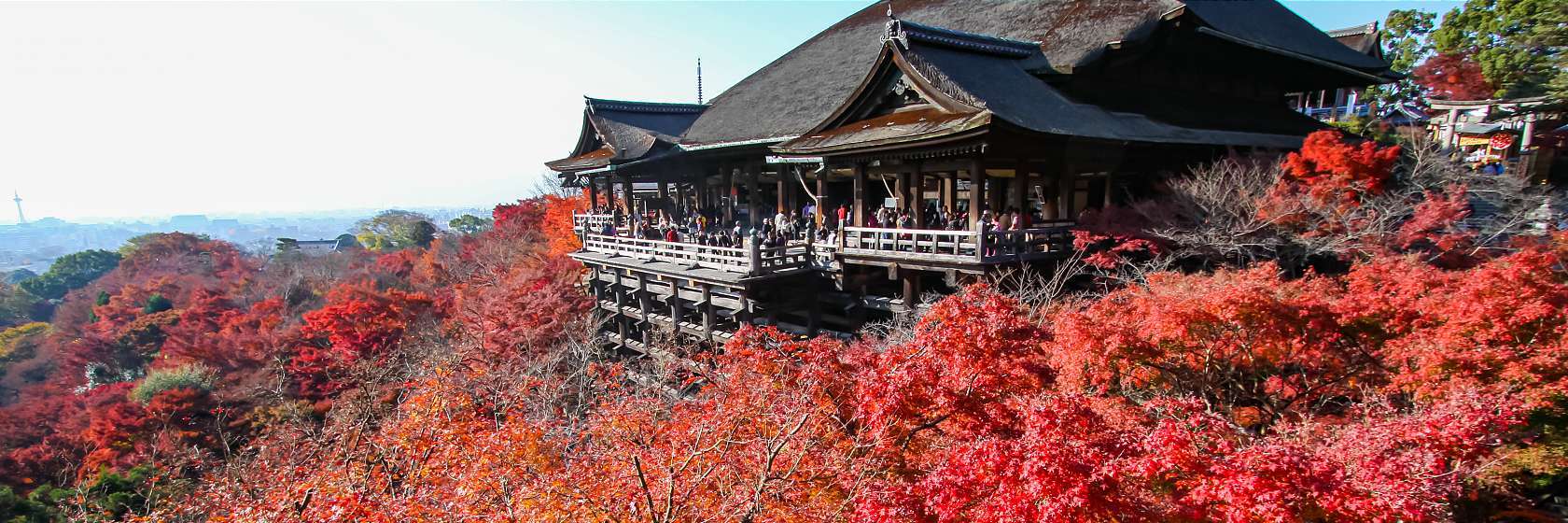 Kyoto Visitor